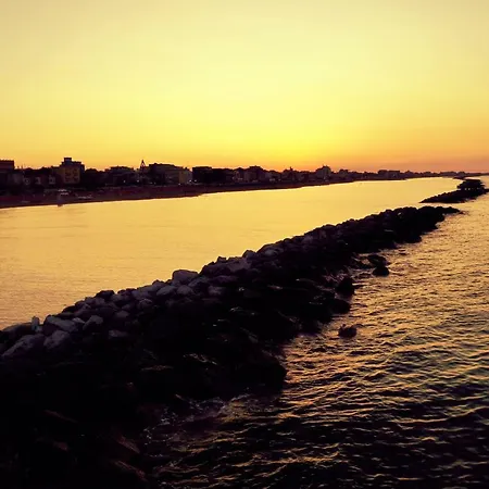 Gin فندق ريميني